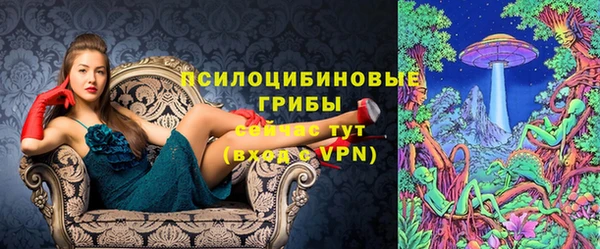 СК Вяземский