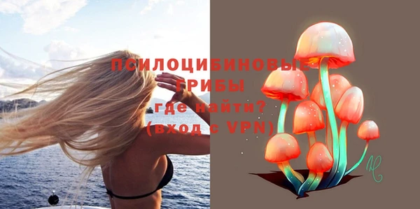 СК Вяземский