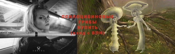 СК Вяземский