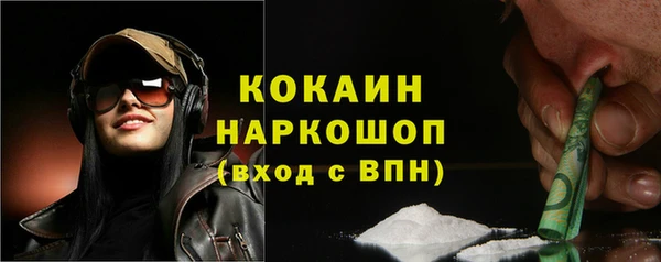 гидра Володарск