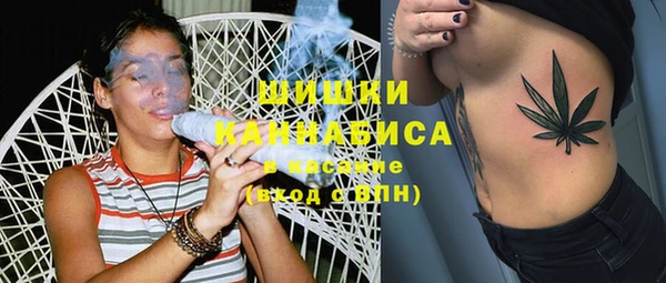 СК Вяземский