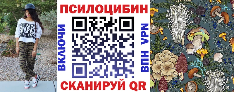 Псилоцибиновые грибы GOLDEN TEACHER  Городец 